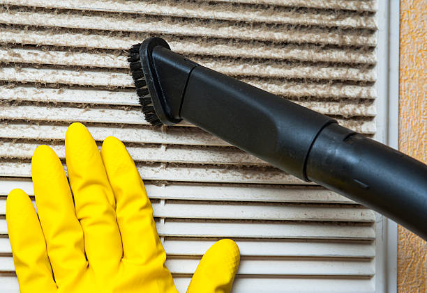 Best HVAC System Cleaning  in Glendale, MS